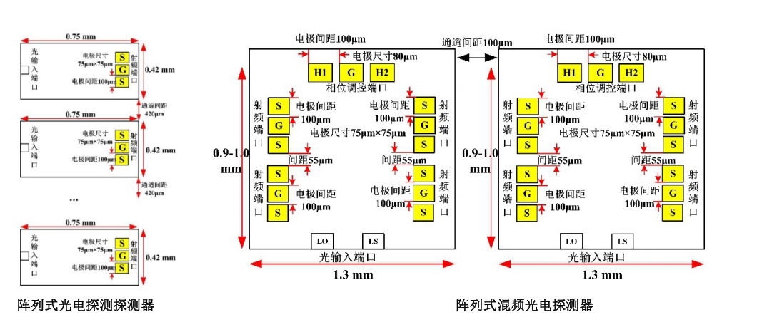 芯片尺寸1 芯片尺寸1
